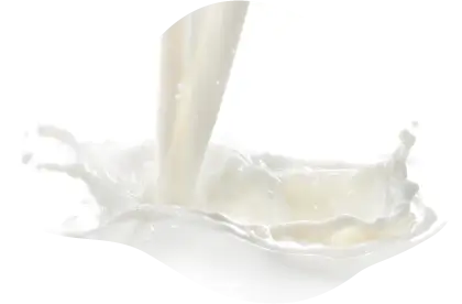 ぬるま湯に溶かして、無脂肪乳の代わりとして使える！