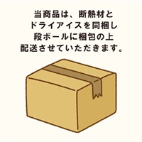 アイス梱包箱（特大）