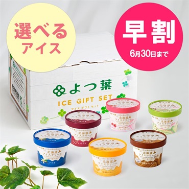 【お中元早割】【選べる】よつ葉 北海道アイスクリーム6個セット【送料負担ナシ】【冷凍便】