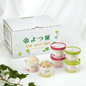 よつ葉　北海道アイスクリーム　ドルチェ2種6個セット【冷凍便】