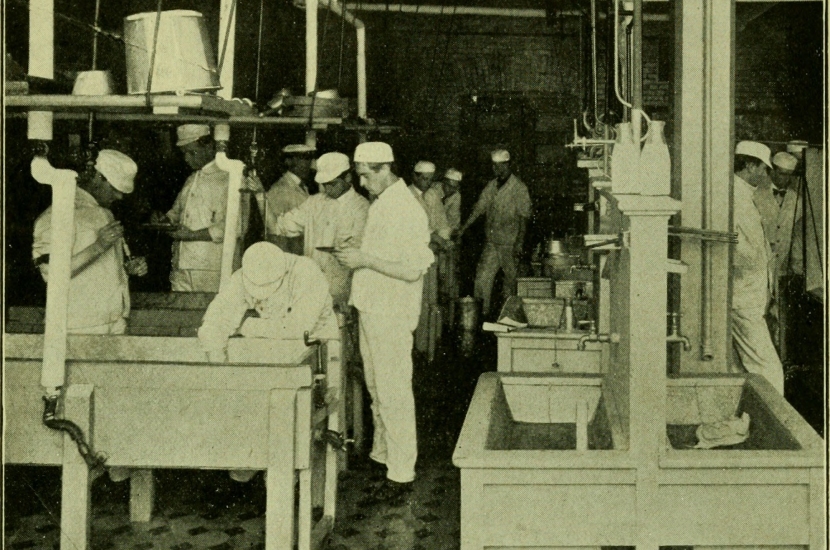アメリカ・ウィスコンシン州マディソンの大学の工房でチーズを作る大学生たち。
