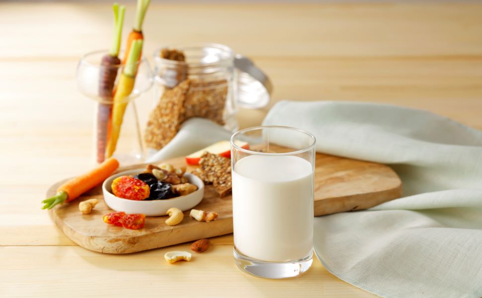 牛乳・乳製品由来のタンパク質でバランスの良い健康的な食生活を